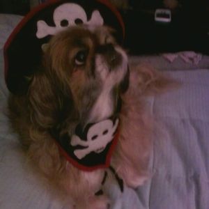 Meet your Posher, Laura